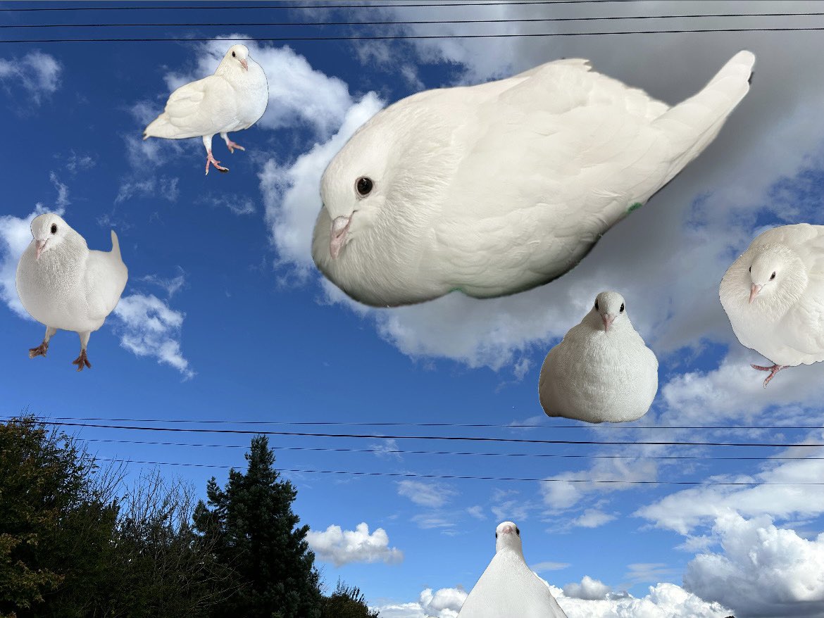 crescentmoontea's tweet photo. lots of Clouds in the sky today https://t.co/OEOctIioyt