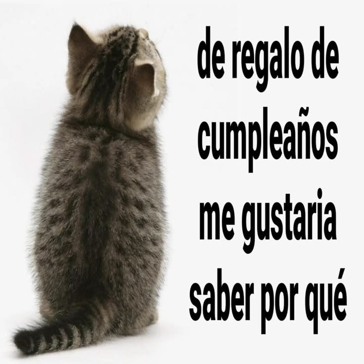 Cris_Nat12's tweet photo. @youtooz @kamerra_wav oye w, diles q me lo regalen porfas https://t.co/yYCoJ4W387