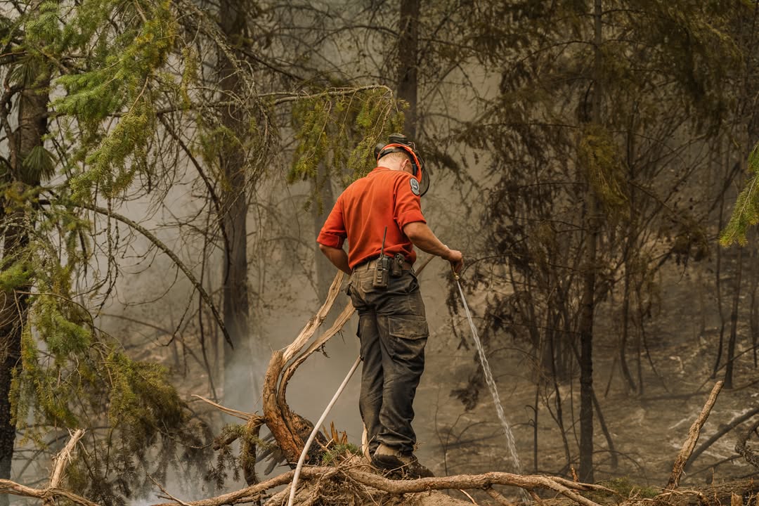BCFireSmart's tweet photo. Know your wildfire risk, prepare, and help fire crews stop the spread. Report wildfires, unattended campfires, or open burning violations to 1-800-663-5555, or *5555 on your cellphone. Everyone has a part to play in keeping the province safe. https://t.co/i4k5HnErAI
