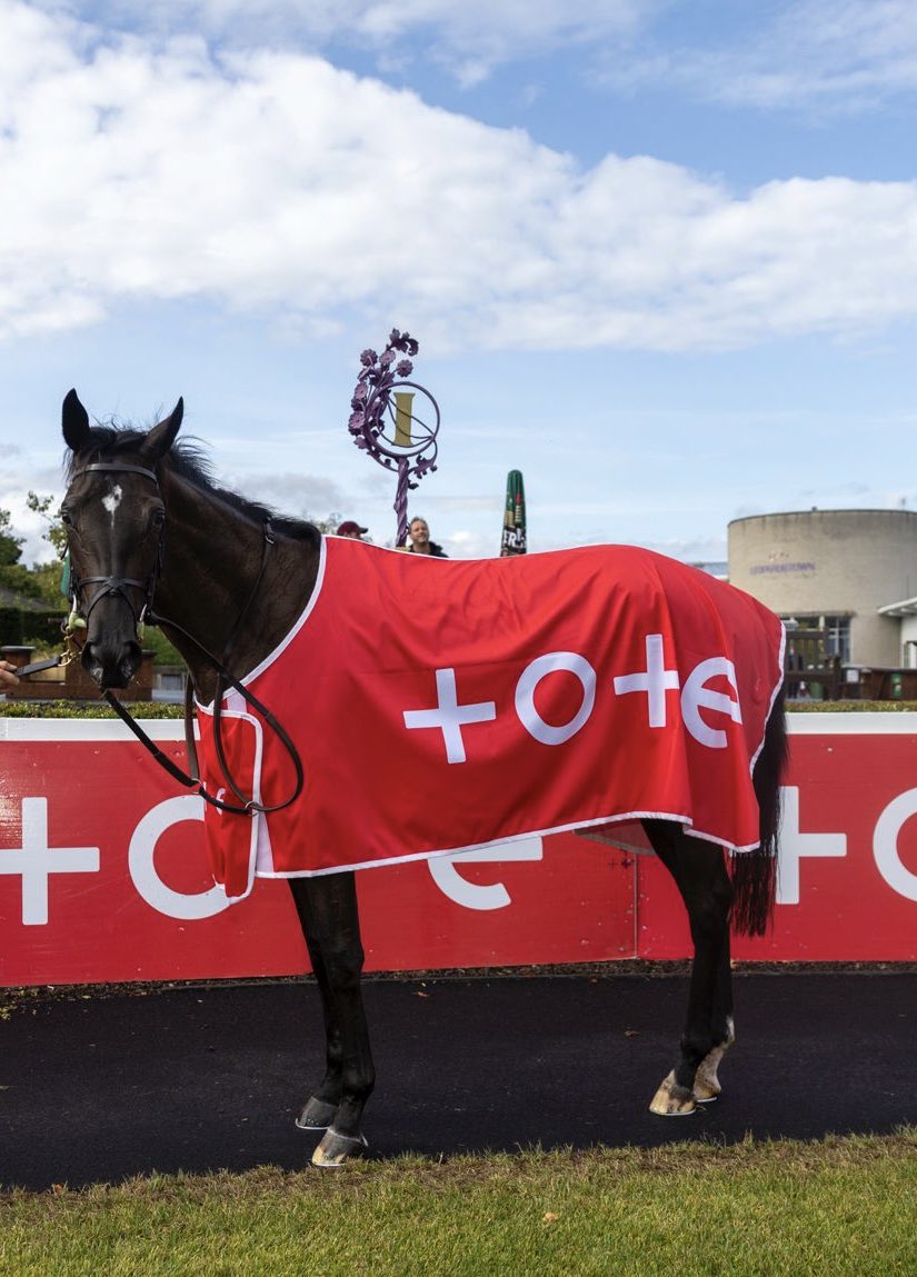 LeopardstownRC's tweet photo. Third time out and following in her mother’s footsteps!💜🏇

So Lovely wins the Tote Guarantee, Never Beaten By SP Irish EBF Fillies Maiden for Aidan O’Brien, under Wayne Lordan.

That’s three starts and she got her maiden win at Leopardstown,  just like her dam before her. ✨ https://t.co/2zrXC7pkjH