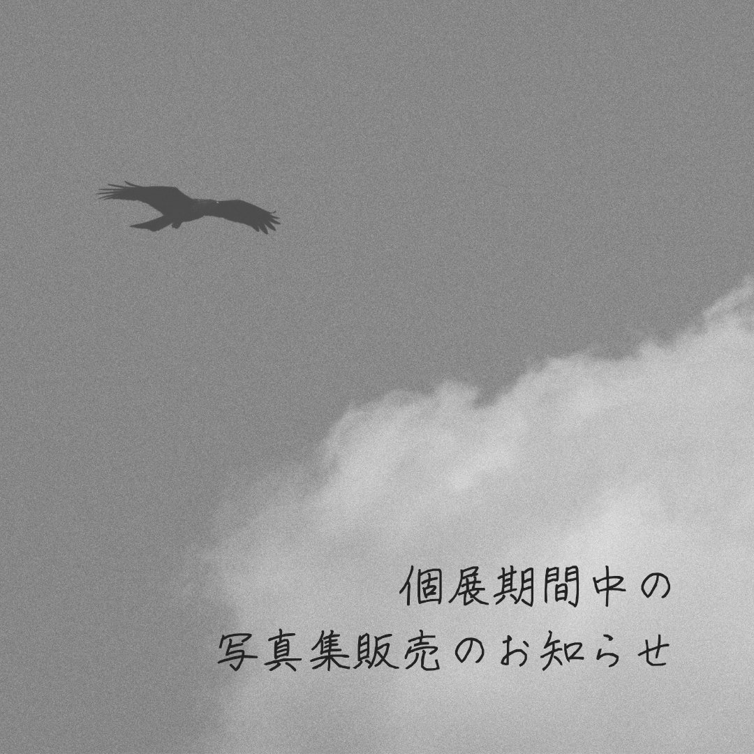 FunaSpring's tweet photo. 【個展期間中の写真集発売のお知らせ】
個展「とある『幻』たち」の開催期間中、写真集の受注販売を行います。
これまで撮影したモノクロスナップをまとめた写真集を2冊販売します。

ご注文方法や注意事項等は投稿の画像をご覧ください。

いずみ https://t.co/ZERc8V3ZMW