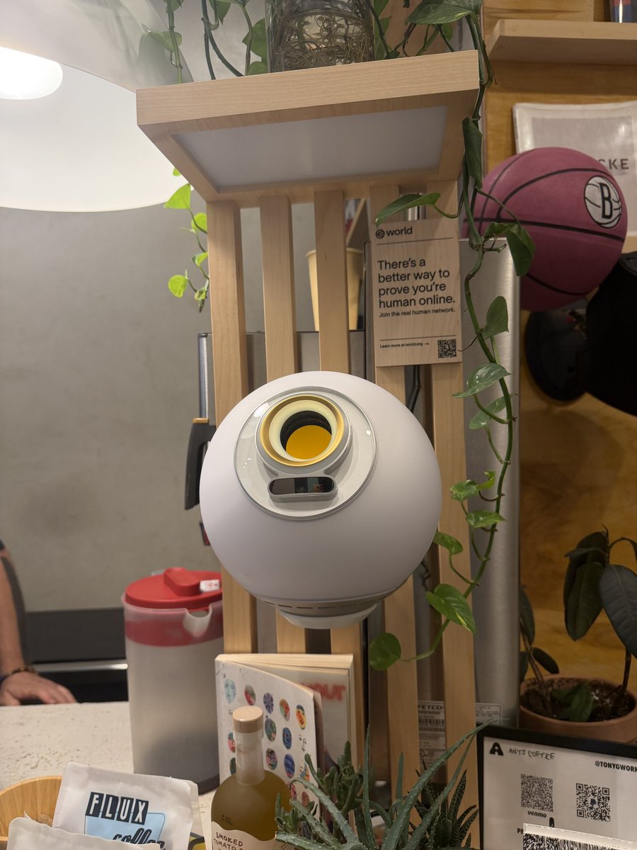 bigshaan's tweet photo. orbs rolling out 👀

you might start seeing more of these across brooklyn peeps https://t.co/QQsJ9yPuSm