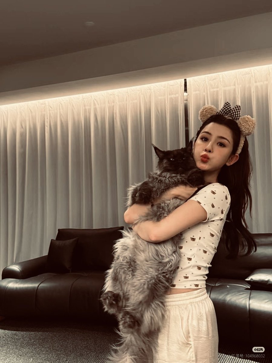 AILMIGHTLY's tweet photo. Me and my two cats, Lumi and Milo. 😻 https://t.co/BnhW0ZK9Nb