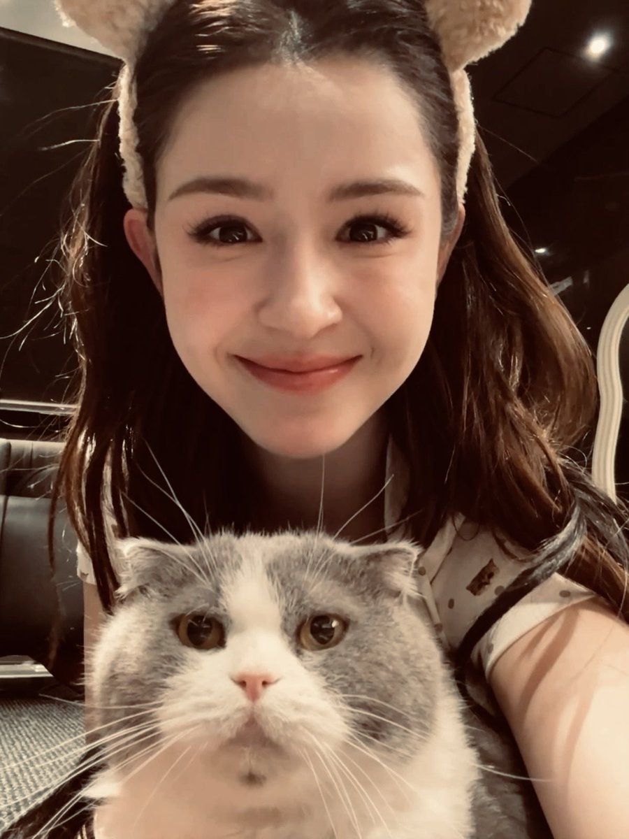AILMIGHTLY's tweet photo. Me and my two cats, Lumi and Milo. 😻 https://t.co/BnhW0ZK9Nb