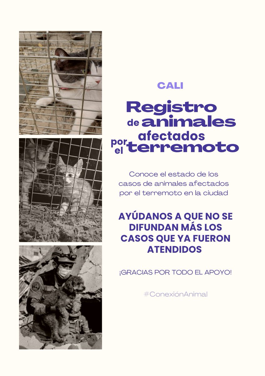 RCAnimal's tweet photo. #TerremotoCali Compartimos el registro de animales que han sido reportados afectados durante esta emergencia, y el estado del caso. 

✔️ Pedimos por favor, replicar esta información para evitar que todos los días nos envíen los mismos casos que 🧵 https://t.co/KIkFmCYpxU
