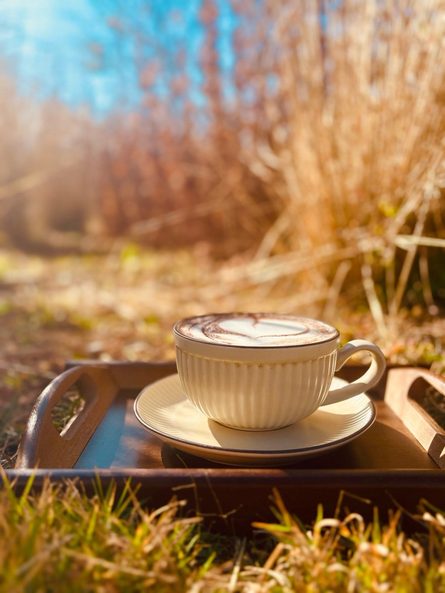 Brandonlish1's tweet photo. [Woke up to golden autumn sun and crisp air—perfect for a walk with a hot latte! ]， https://t.co/e39W1jy70p