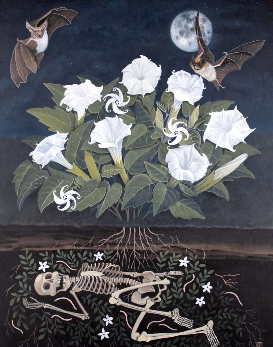 Tatiana19796's tweet photo. 'After Dark' by Erica Peebus https://t.co/llu0PgPZzR
