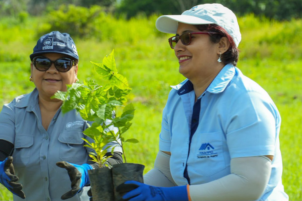 ViviendaSV's tweet photo. Los equipos de FONAVIPO realizaron  una jornada de arborización en la zona protegidas Santa Clara, San Luis Talpa, esta acción involucra a todo el personal como parte de nuestro compromiso con El Salvador más Verde.

En la actividad se lograron sembrar 400 árboles. 🌱 https://t.co/ph2MhxLAvp