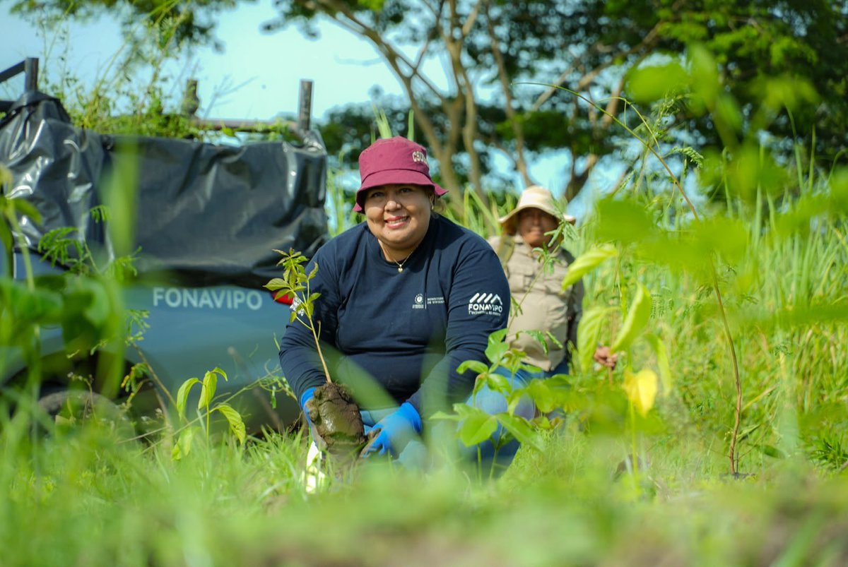 ViviendaSV's tweet photo. Los equipos de FONAVIPO realizaron  una jornada de arborización en la zona protegidas Santa Clara, San Luis Talpa, esta acción involucra a todo el personal como parte de nuestro compromiso con El Salvador más Verde.

En la actividad se lograron sembrar 400 árboles. 🌱 https://t.co/ph2MhxLAvp