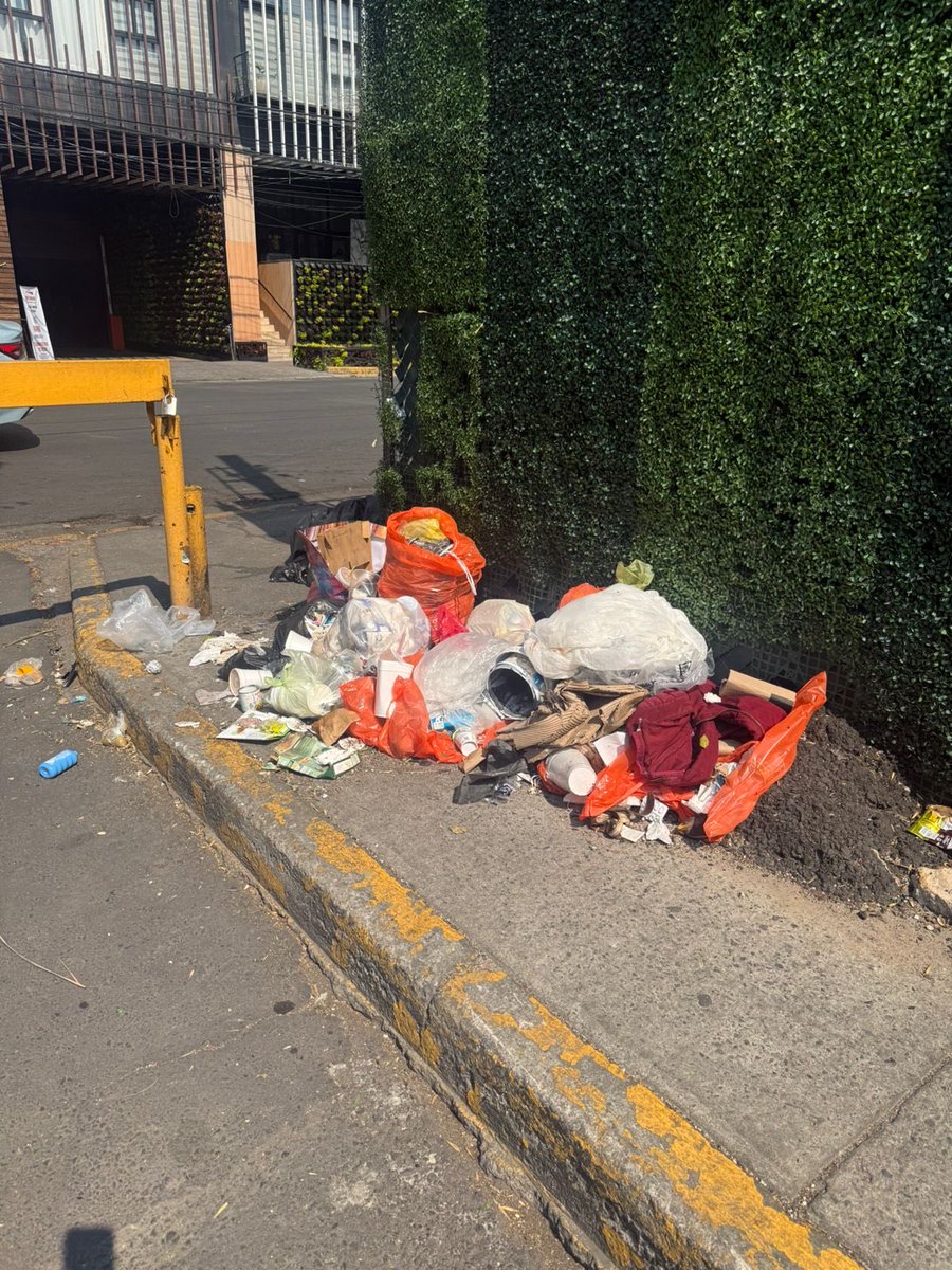 user39510krn's tweet photo. @MontseMora00 @AlessandraRdlv Si tomaste foto o
Video de cómo dejan basura los vecinos 🐷? El problema es que los vecinos dejan todas sus bolsas de basura … https://t.co/DVh76HDe1W