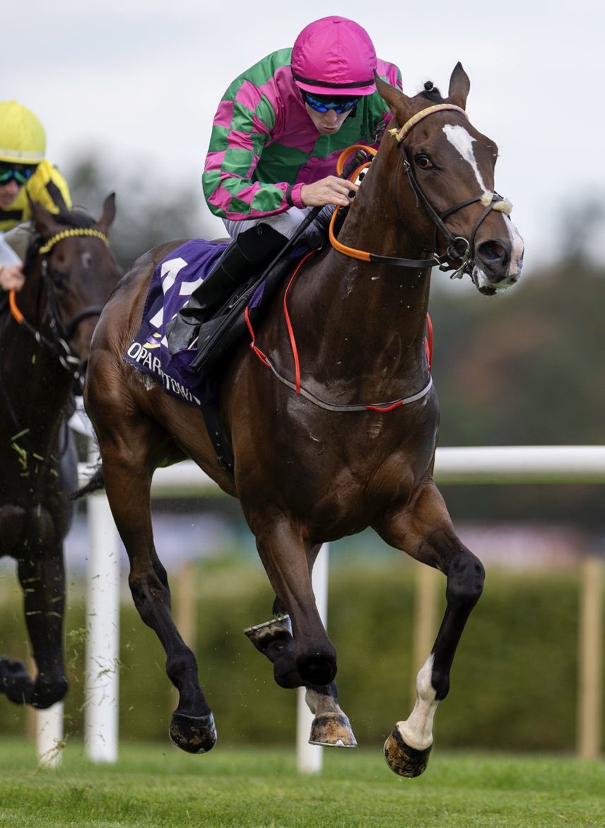 LeopardstownRC's tweet photo. Banks of the Boyne banks the win! 💰🏇

A brilliant ride from Wesley Joyce sees Michael Mulvany’s charge land the Irish EBF Auction Series Maiden. 👏 https://t.co/IzJDI9ptTY