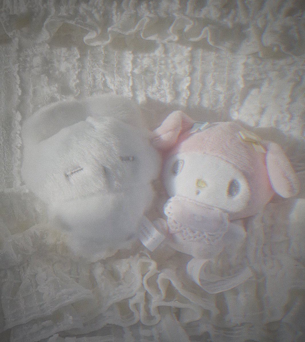nemuidiary's tweet photo. car ride leg bc with my bunny babies ୨୧ https://t.co/QQmuxii6lL