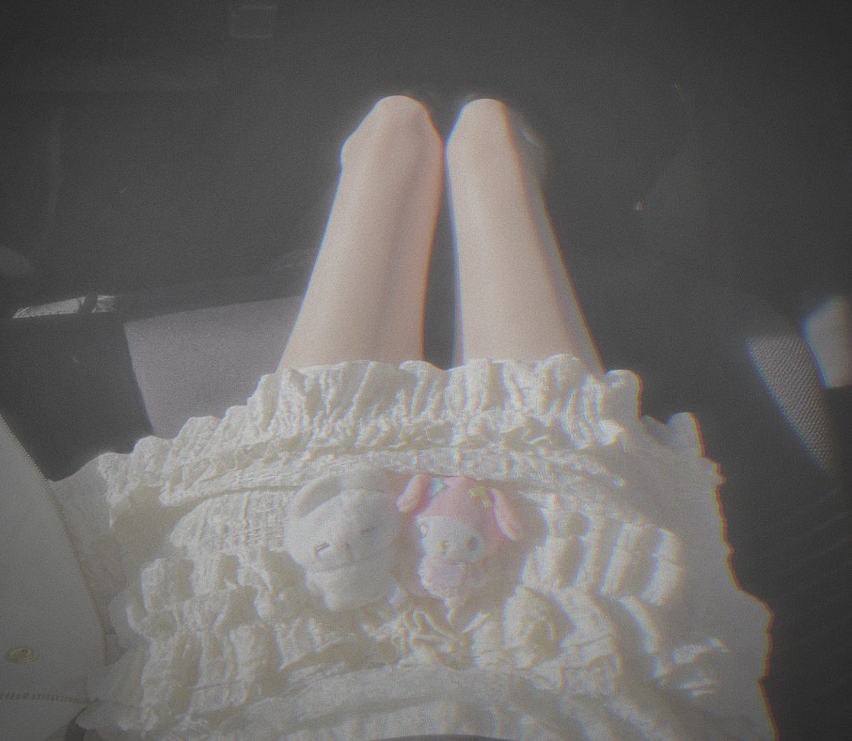 nemuidiary's tweet photo. car ride leg bc with my bunny babies ୨୧ https://t.co/QQmuxii6lL