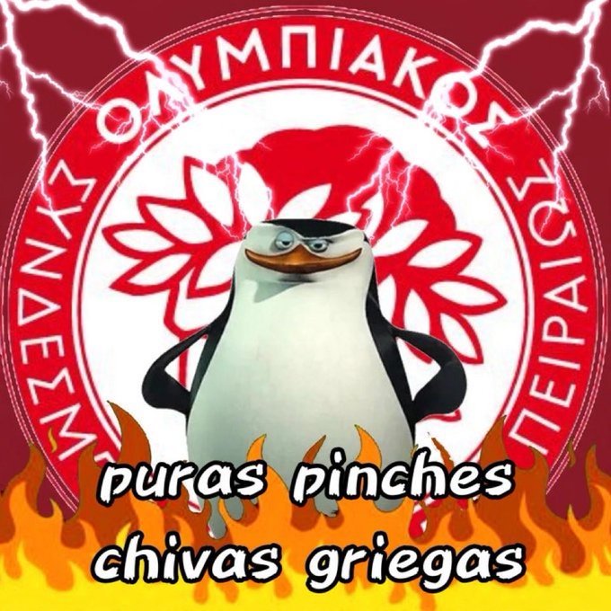 lvrienlxr's tweet photo. Ahora que se hizo oficial y hormiga ya va para grecia, me declaro nuevo rojiblanco del Olympiacos, ojalá enamorarme de este escudo porque de los colores ya lo estoy, VAMOS POR LA 49 Y QUE CHINGUE A SU MADRE EL AEK Y EL PAOK 🗣🔥
PURO PINCHE CHIVAS Y OLYMPIACOS ⚪️🔴 https://t.co/0L2bNI01Wq
