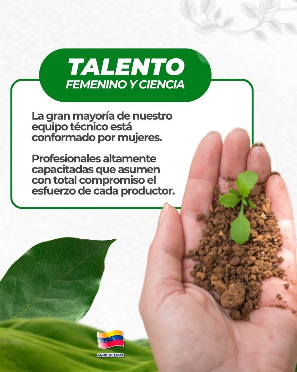 Carabobo_INTi's tweet photo. en LANSAR, nuestro equipo técnico está compuesto en su mayoría por mujeres profesionales comprometidas con el éxito de cada productor. Optimizando la producción agrícola con análisis y tecnología de vanguardia. #TalentoFemenino https://t.co/IENqLq7d4u