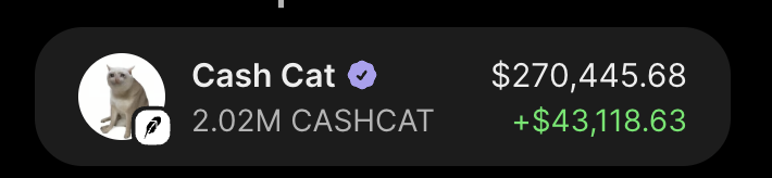 KaikoHQ's tweet photo. I knew $CASHCAT would start moving sooner or later.

While many people panic sold, I accumulated more.

There are plenty of reasons why I believe it can keep going higher.

One of the biggest is simple:

$CASHCAT is basically the first major runner on this chain.

And no, I'm not in love with the bag.

I just think it has insane potential. :)