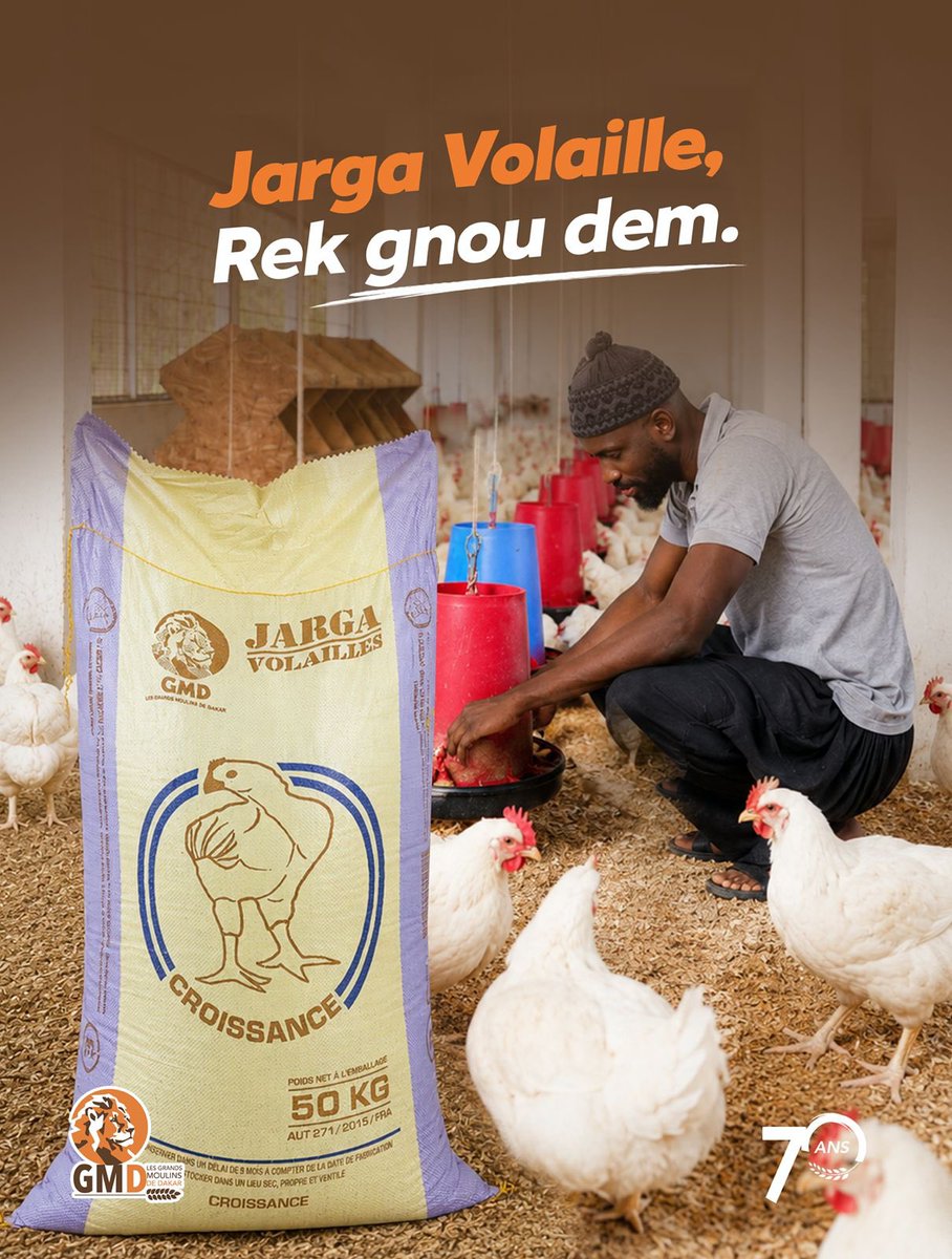 Les_GMD's tweet photo. Sa élevage, sa investissement ! Tànnal Jarga Volaille ngir sa ganaar yi dund bu baax, màgg bu gaaw te am doole. 

GMD, toute une vie. 

#GMD70ans #TouteUneVie #GMD https://t.co/Q44wMQpeey