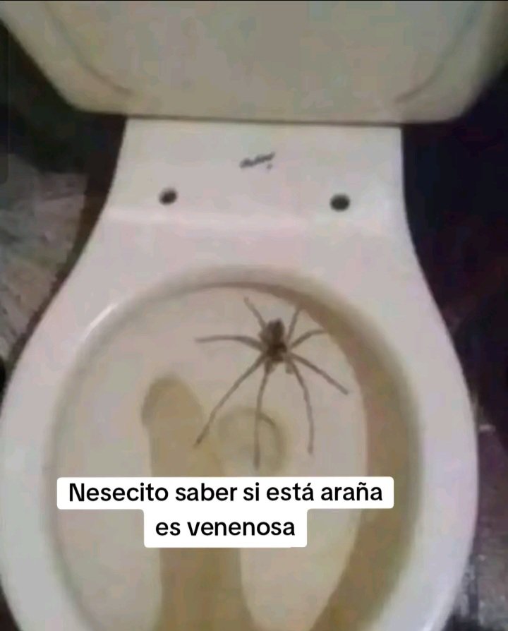 GeneralNix3427's tweet photo. Gente necesito de su ayuda https://t.co/SZt5QUlhAG