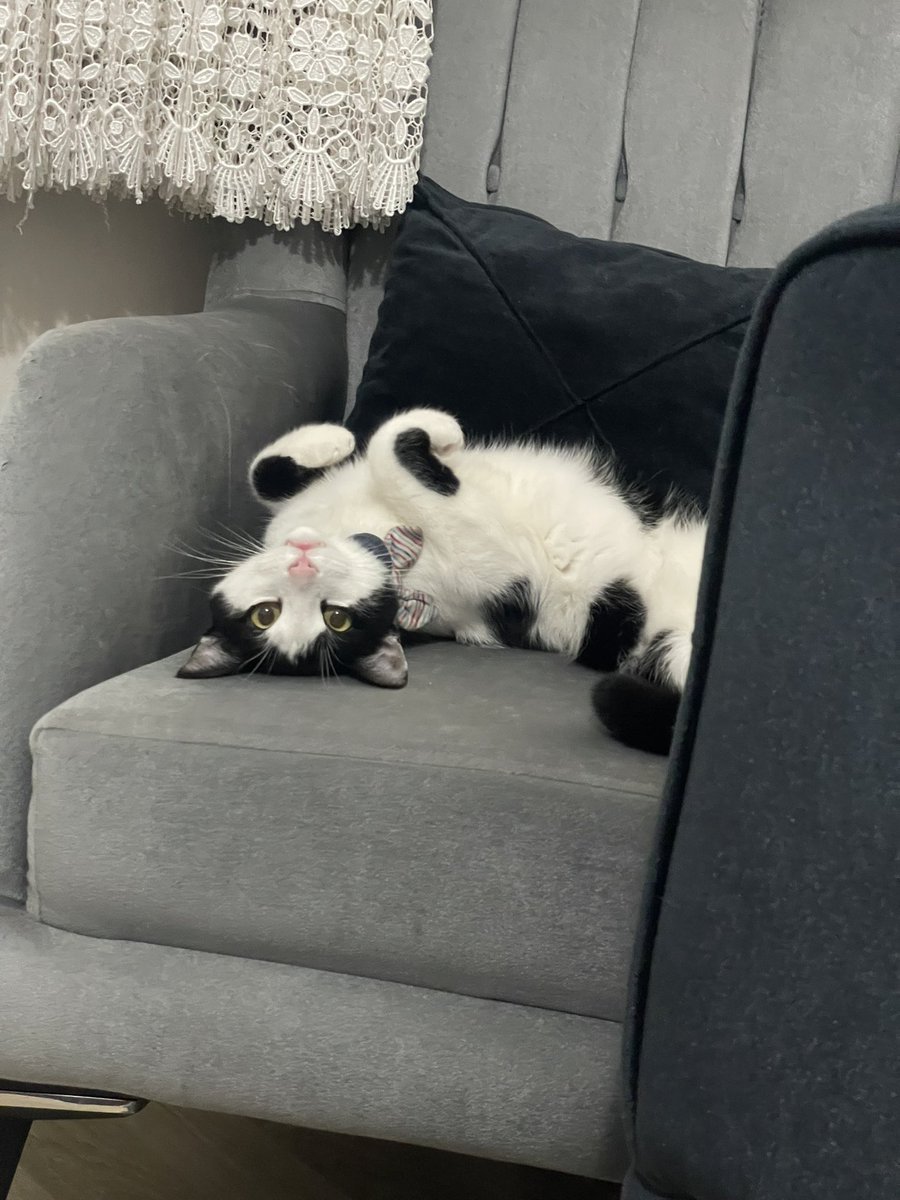 joeyjellybeanc's tweet photo. anarne bena yine köfde pişürsene https://t.co/AsQORLftta