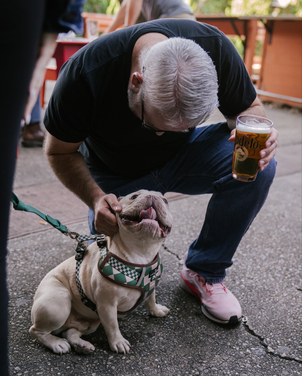 RosedaleOTR's tweet photo. The dogs are ready and the patio is calling 🐾
Join us today for Yappy Hour from 4pm - 7pm. Half-price happy hour for humans, plenty of fun for the pups, and all the good vibes. https://t.co/l55KJgnWwy