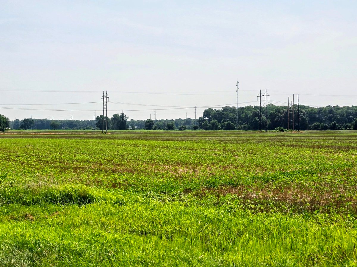 Technical_ly's tweet photo. Harrington blocks one data center, but a larger Delaware project remains a mystery https://t.co/w5NWaEqK1l https://t.co/wOG0rdLOMX