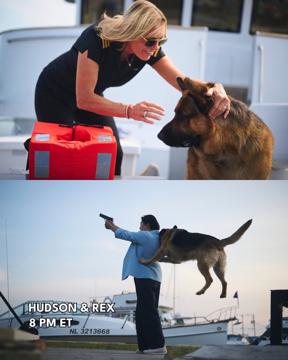 UPtv's tweet photo. Two mysteries. Two very good boys. 🐾

🐶 #HudsonAndRex - Tonight at 8 PM ET
🌲 #BlueSkies - Tonight at 9 PM ET

#Mystery | #DogWithAJob | #CrimeDrama https://t.co/O3Ds10RtkA