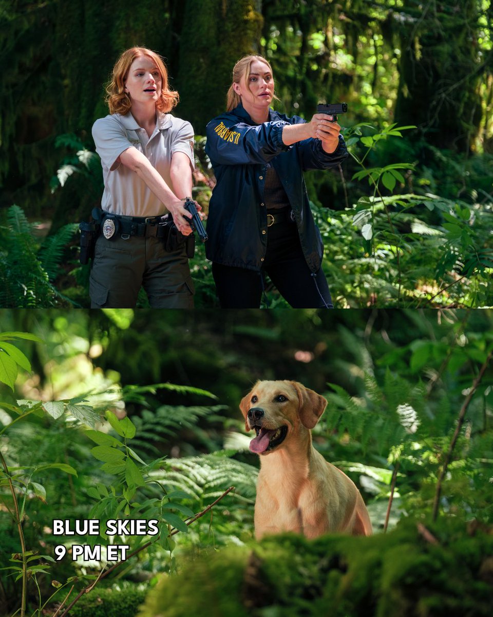 UPtv's tweet photo. Two mysteries. Two very good boys. 🐾

🐶 #HudsonAndRex - Tonight at 8 PM ET
🌲 #BlueSkies - Tonight at 9 PM ET

#Mystery | #DogWithAJob | #CrimeDrama https://t.co/O3Ds10RtkA