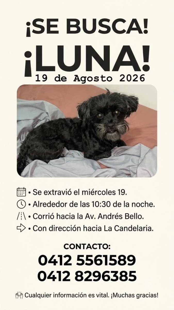 PerroUsuario's tweet photo. Se busca a Luna en los alrededores de La Candelaria Caracas https://t.co/1yxsJlZn0M
