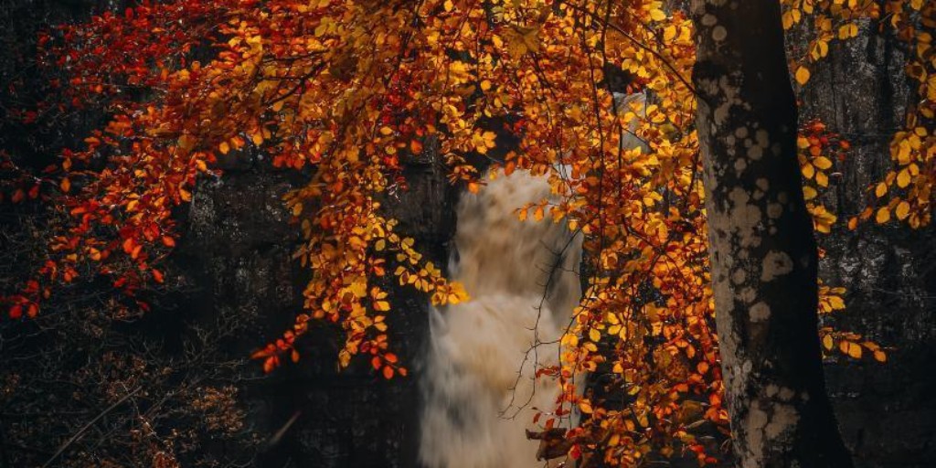 HighForceWater's tweet photo. Autumn is fast approaching and soon High Force Waterfall will look like this🍂

To make your stay even better we are offering 3 nights for the price of 2🥮

Running between 28th September to 17th December

Use code AUT26D when booking: https://t.co/csAazaRC8a https://t.co/HTEI4xH3vE