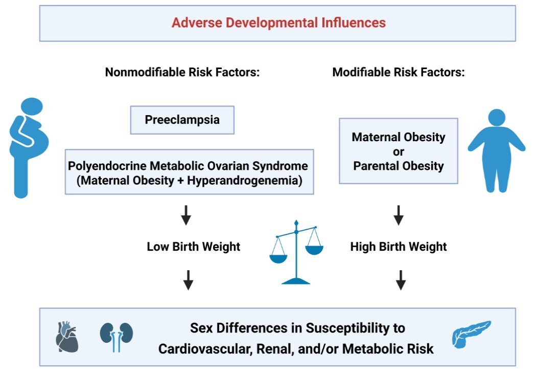 AJPRenal's tweet photo. We have a new review #OpenAccess #ArticleinPress, Sex Differences in the Developmental Programming of Cardiovascular and Renal Risk across the Lifespan (LE Coats et al. @UMMCnews):

https://t.co/UtaZCrkDoq https://t.co/C0zVyb5QWV