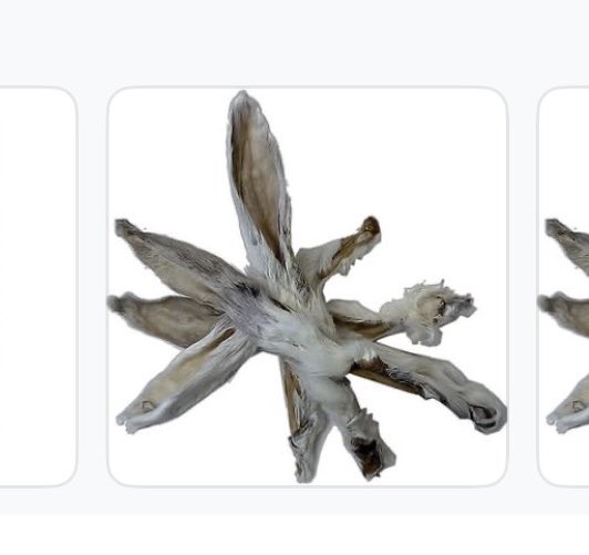Sydney_OOOOO's tweet photo. . @Chewy what are these? https://t.co/7xCpN0H0DV