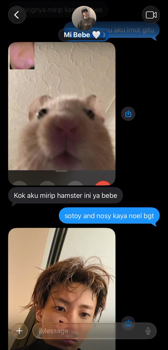 octopoems's tweet photo. #toniwoni chloe-noel edisi punya cowo yg suka tb2 pap random 😴 https://t.co/NGZyKfPcd4