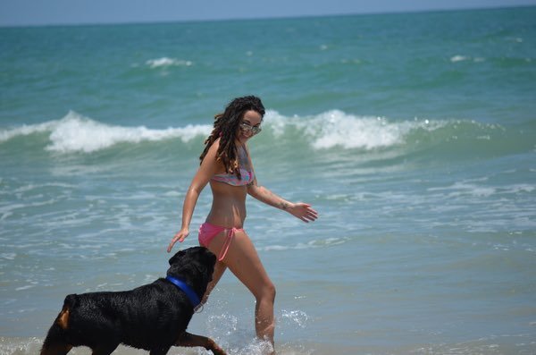 SabrinaHouuzz's tweet photo. That moment the knot swells and you realize you're not getting off anytime soon... Who else gets addicted to being locked and bred?
Drop a
if you've felt it
#Dogknotting #Breeding https://t.co/7MnmsAHTLM