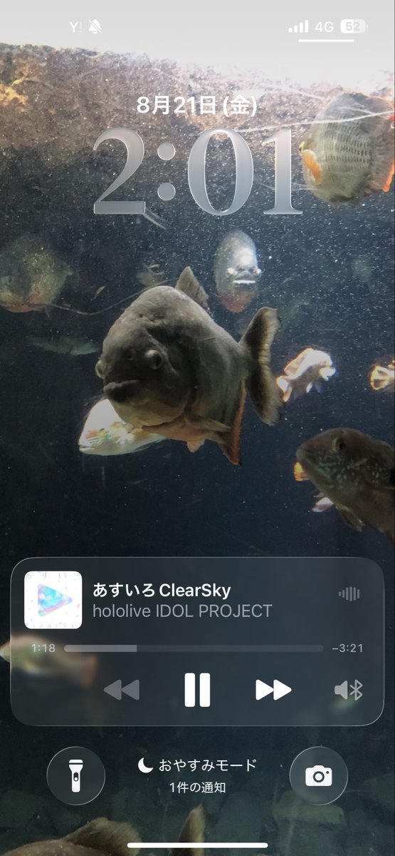 DTudm9's tweet photo. え？笑笑もう2時？嘘だよね笑笑
だってそんなことしたら明日の部活どうすんだよ笑笑 https://t.co/bOrxO6eXz3
