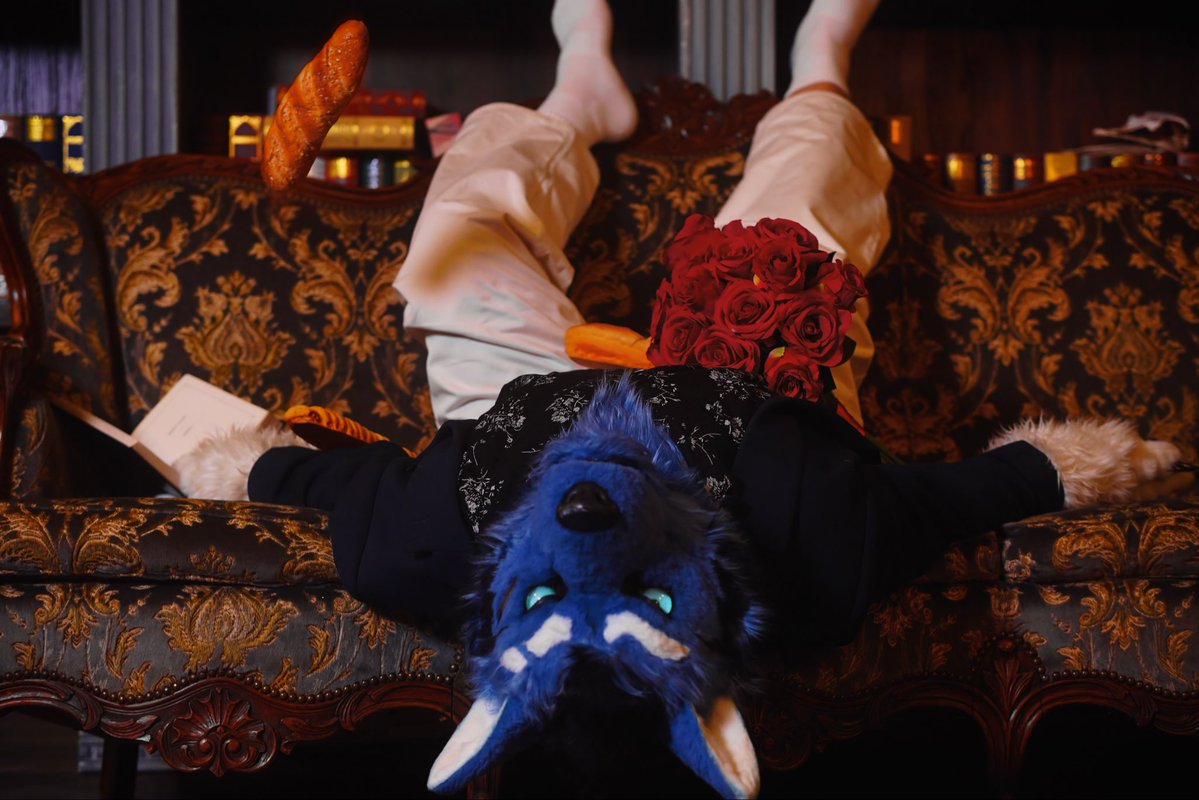 UminekoFursuit's tweet photo. In a world turned upside down, which would you pick:
a flawless rose with a price tag, or a suspicious baguette falling from the heavens?
...Though the baguette in my lap is an option too. 😈
#FursuitFriday #馬里亞斯 #Mareas https://t.co/rskGyfoiBh