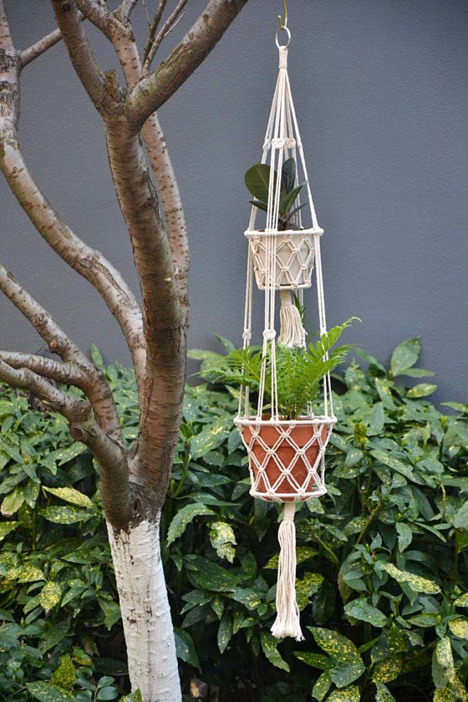 kshh694's tweet photo. Just finished my first DIY macramé plant hanger! Turned some old cotton cords from my closet into a cute home decor piece. Super satisfying small project ， https://t.co/Gs28QErxIy