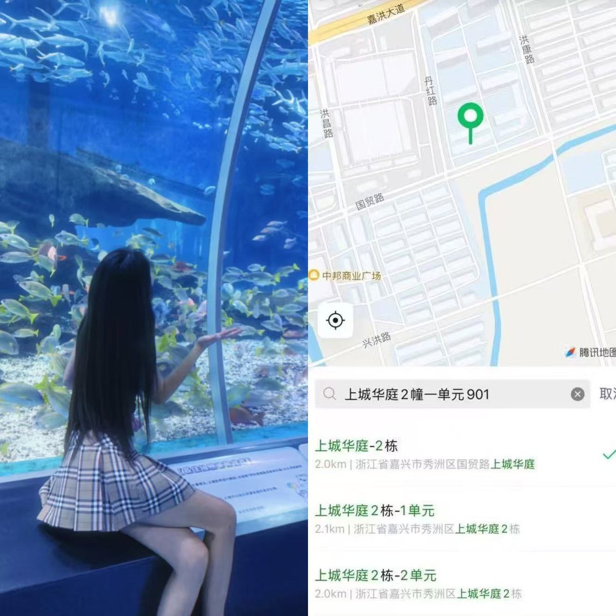 quenchos's tweet photo. 今天在 嘉兴  碰到一个小小的 但是我没有笑 坚持到结束���是尊重了别人我真棒啊啊     #嘉兴 https://t.co/OJi2VRLwQJ