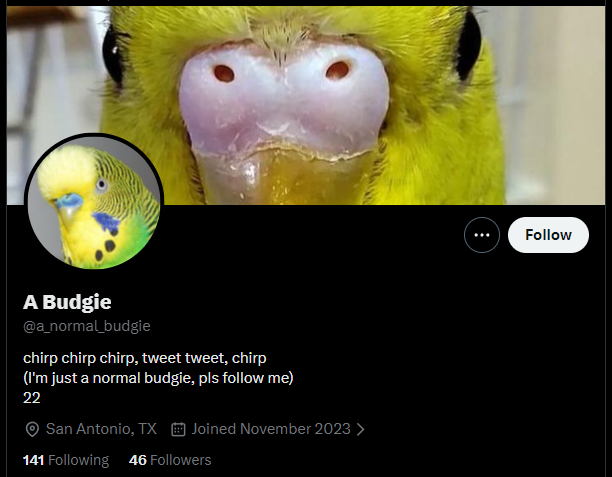 JarretNTS's tweet photo. @Supertails02 @a_normal_budgie @Hitchemus @UltimaRevolver @BlakeAl0 @calmdown_robby At this age, he should have researched before posting memes just to act like funny. Also, YouTube revenue is not that huge. If Glitch Productions was billionaire, MrBeast would be the 2nd richest guy in the world. Only behind of Elon Musk. https://t.co/8ogHLSg17x