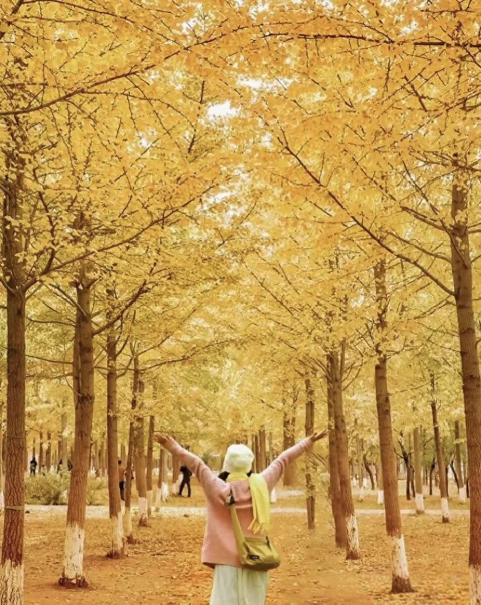 FaeDue's tweet photo. Sunny autumn afternoon, coffee in hand, leaves crunching underfoot—perfect little escape from the busy week https://t.co/Hmlu9SNp9t