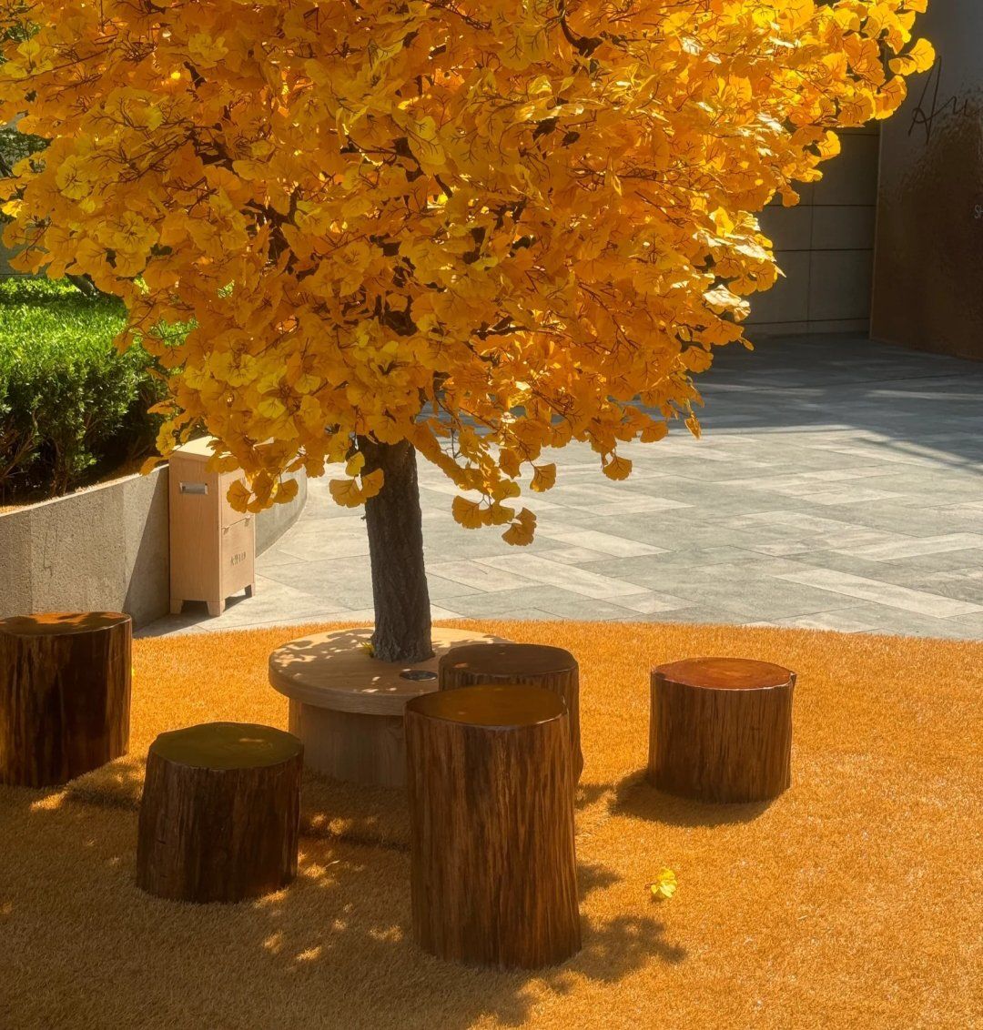 HwDfcRuqmg9LOqN's tweet photo. Fall equinox vibes: equal day, equal night, perfect pause for gratitude. https://t.co/rj1tEp0VZl