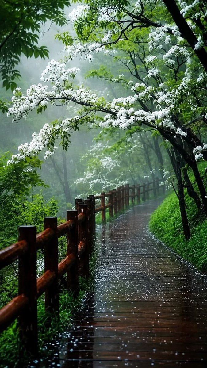 Scenicsoull6gi's tweet photo. 🌸 Bloom Where You Grow 🌱 https://t.co/YFlTPC9kRF