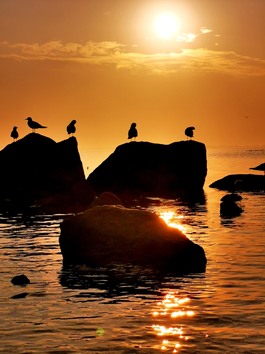 JudyErvin2's tweet photo. Just spent the best afternoon chasing golden hour at a hidden coastal cove—waves crashing, seagulls crying, and zero crowds. Pure magic that made all the early wake-up worth it https://t.co/m90FphYesK