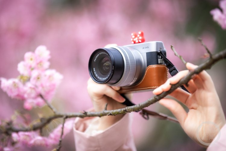junefu0113's tweet photo. New to photography Start with these 3 simple tips: use natural light, focus on your subject, and shoot every day. Practice beats gear! https://t.co/hEP7lAnfY9