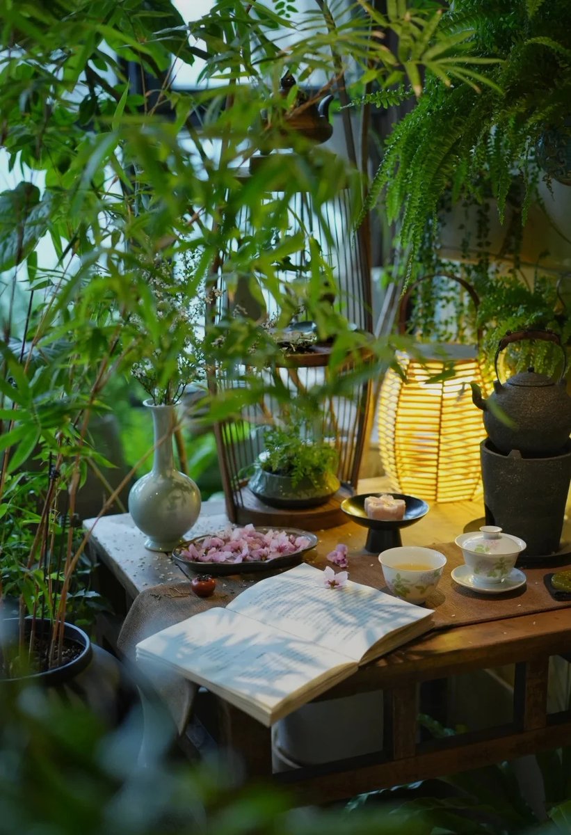 yuvisha56385714's tweet photo. Cozy rainy Sunday with warm tea and a good book—this is the perfect small joy of staying home ， https://t.co/hqQSSohO1r