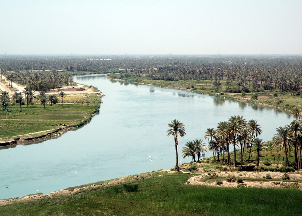 Orpheus_Tragedy's tweet photo. Date palm groves growing in the lush Tigris River flood plain near Baiji, Saladin province, Iraq. https://t.co/a7C2nnRuF1