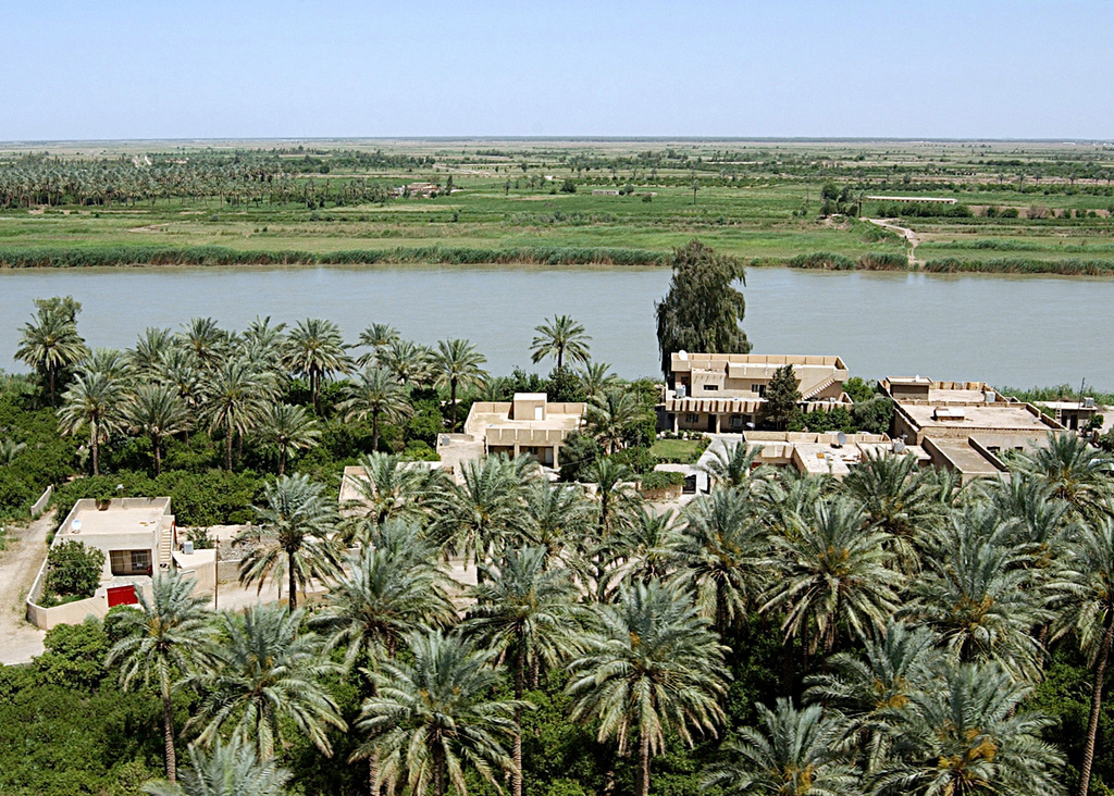 Orpheus_Tragedy's tweet photo. Date palm groves growing in the lush Tigris River flood plain near Baiji, Saladin province, Iraq. https://t.co/a7C2nnRuF1