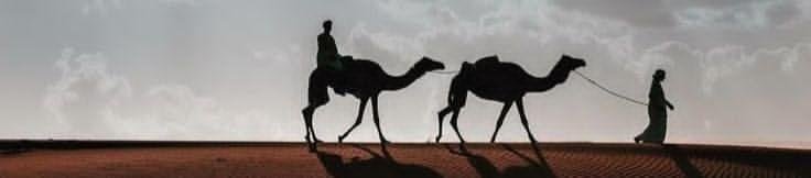 h5or_'s tweet photo. صمته حارقٍ جوفه https://t.co/OjECk3zxaT
