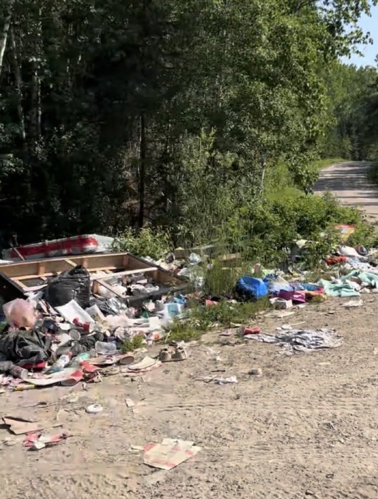 JimMcMurtry01's tweet photo. This is the road on the way to the Grassy Narrows FN dump.

Half of reserves don’t treat garbage.

Tradition is to throw it in nature. https://t.co/eAdSKGT18f