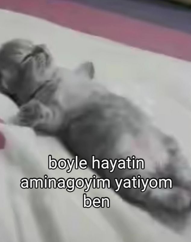 nameiscansel's tweet photo. Allah'ın Hatay'da yaşadığım için konser işleri yalan olan ben https://t.co/WCZps5deqX