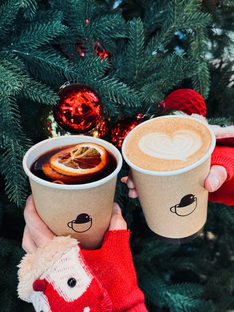 jephrules's tweet photo. [Sunny Christmas morning vibes: warm coffee, twinkling lights, and little joys that make this season glow. ] https://t.co/vkljDBaTS4
